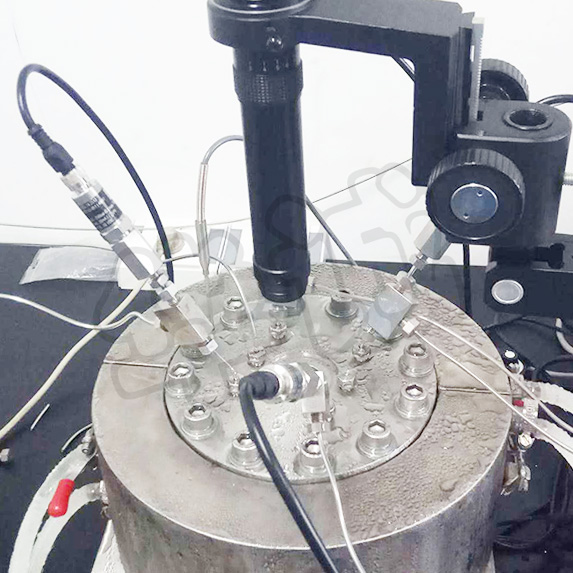 水合物微流控可视系统